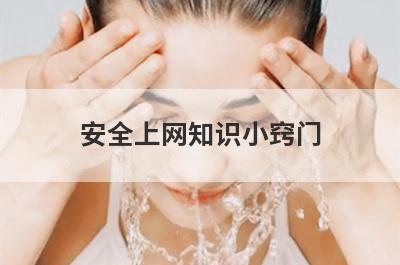 安全上网知识小窍门