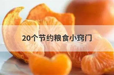 20个节约粮食小窍门