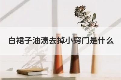 白裙子油渍去掉小窍门是什么