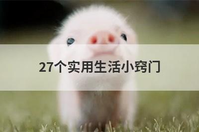 27个实用生活小窍门