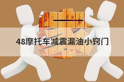 48摩托车减震漏油小窍门