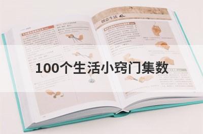 100个生活小窍门集数