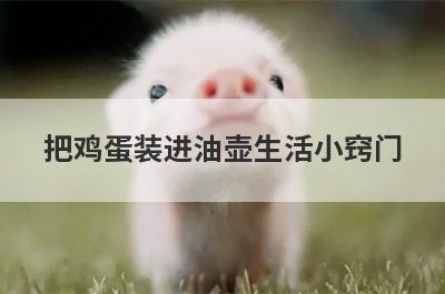 把鸡蛋装进油壶生活小窍门