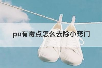 pu有霉点怎么去除小窍门
