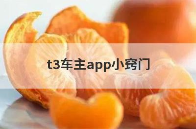 t3车主app小窍门