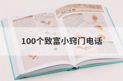 100个致富小窍门电话