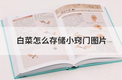 白菜怎么存储小窍门图片
