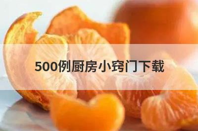 500例厨房小窍门下载