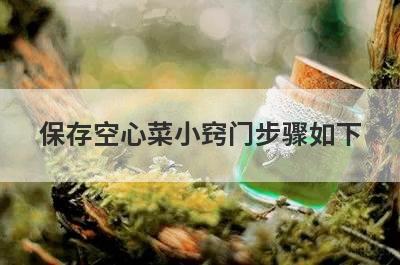 保存空心菜小窍门步骤如下
