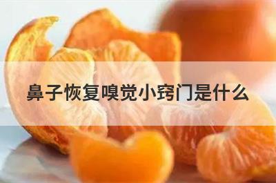 鼻子恢复嗅觉小窍门是什么