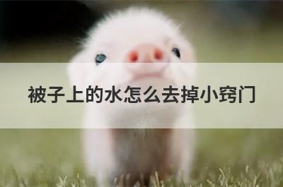 被子上的水怎么去掉小窍门
