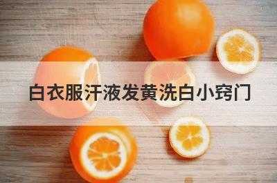 白衣服汗液发黄洗白小窍门