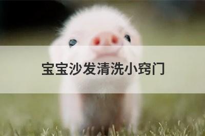 宝宝沙发清洗小窍门
