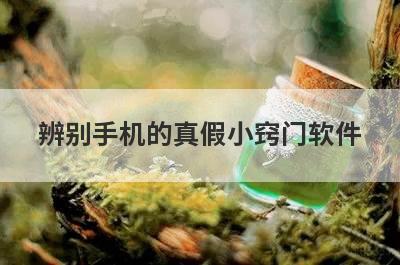 辨别手机的真假小窍门软件