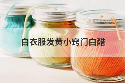 白衣服发黄小窍门白醋