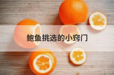 鲍鱼挑选的小窍门
