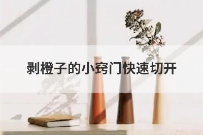 剥橙子的小窍门快速切开