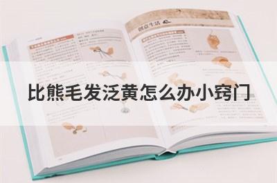 比熊毛发泛黄怎么办小窍门