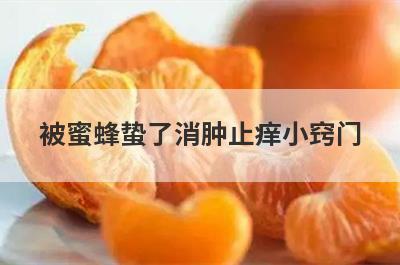 被蜜蜂蛰了消肿止痒小窍门
