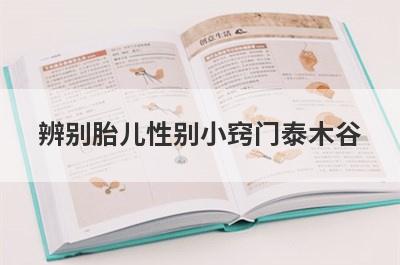 辨别胎儿性别小窍门泰木谷