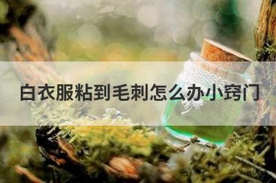 白衣服粘到毛刺怎么办小窍门