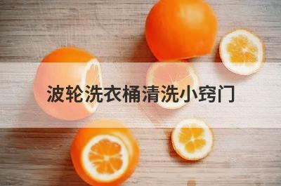 波轮洗衣桶清洗小窍门