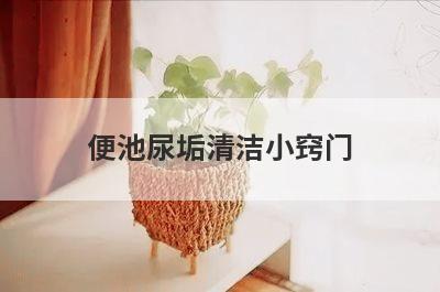 便池尿垢清洁小窍门