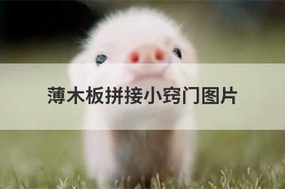 薄木板拼接小窍门图片