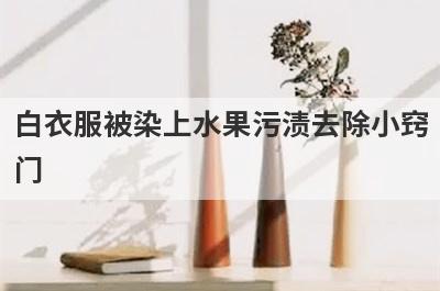 白衣服被染上水果污渍去除小窍
门
