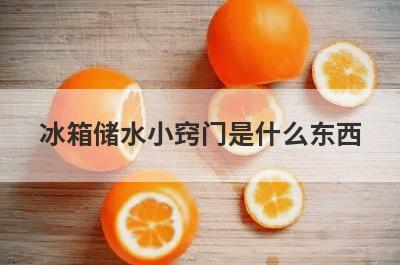 冰箱储水小窍门是什么东西