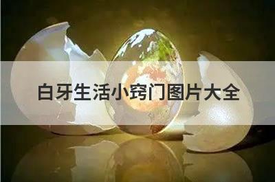 白牙生活小窍门图片大全