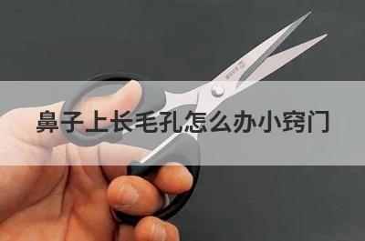 鼻子上长毛孔怎么办小窍门
