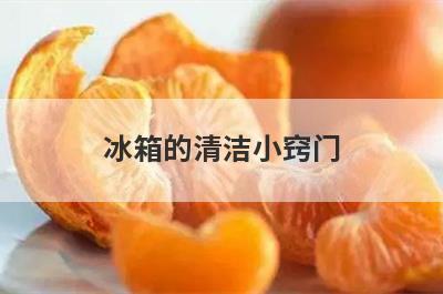 冰箱的清洁小窍门