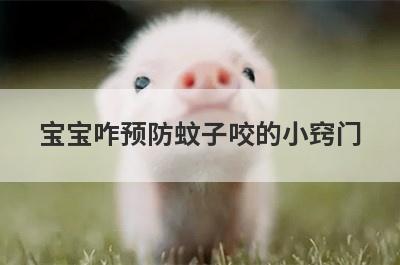 宝宝咋预防蚊子咬的小窍门