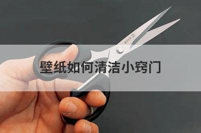 壁纸如何清洁小窍门