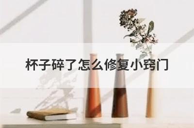 杯子碎了怎么修复小窍门