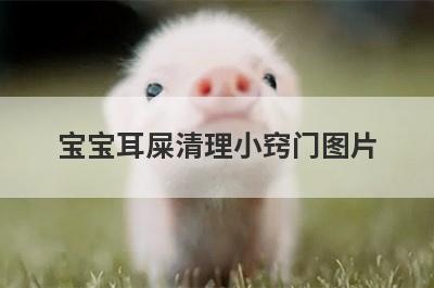 宝宝耳屎清理小窍门图片