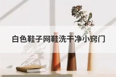 白色鞋子网鞋洗干净小窍门