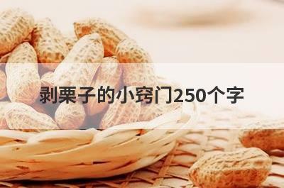 剥栗子的小窍门250个字