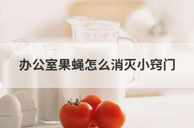 办公室果蝇怎么消灭小窍门