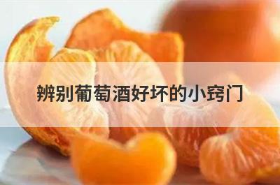 辨别葡萄酒好坏的小窍门
