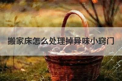 搬家床怎么处理掉异味小窍门