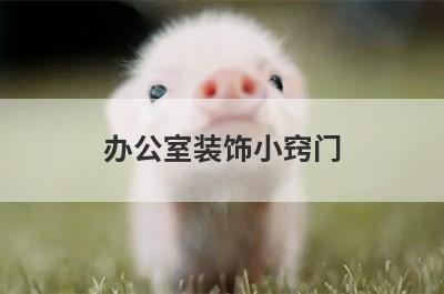 办公室装饰小窍门