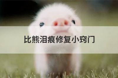 比熊泪痕修复小窍门