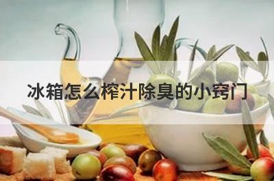 冰箱怎么榨汁除臭的小窍门