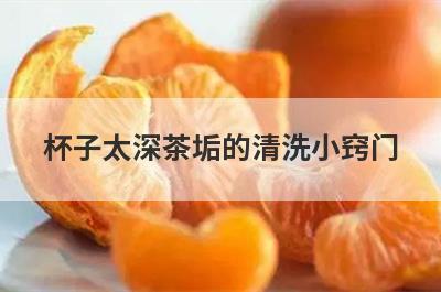 杯子太深茶垢的清洗小窍门