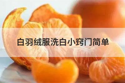 白羽绒服洗白小窍门简单