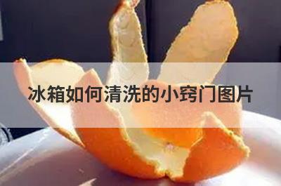 冰箱如何清洗的小窍门图片