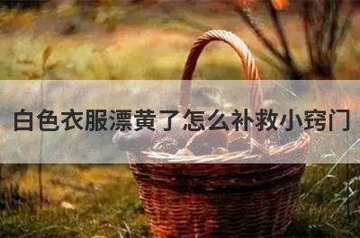 白色衣服漂黄了怎么补救小窍门