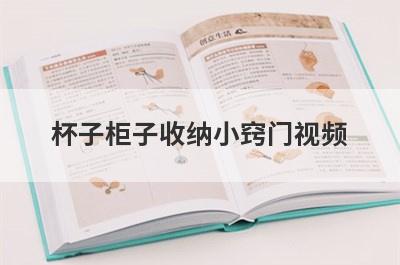 杯子柜子收纳小窍门视频